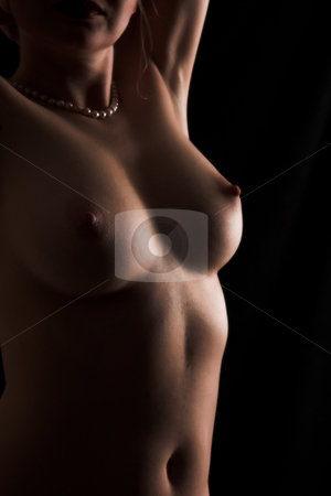 To use this stock image in your creative project, please select the size you need over to the right and click the "Add to Cart" button.
Your downloaded image will come with the Cutcaster watermark removed so don’t worry about the watermark you see on this page. Nude #2 stock photo, Beautiful female breasts by Sean Nel